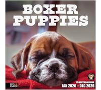RED EMBER Boxer Puppies 2026 Wall Calendar 12 Month | 12" x 24" Open | Thick & Sturdy Paper | Giftable | Calendar 2026