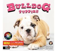 RED EMBER Bulldog Puppies 2026 Mini Wall Calendar 12 Month | 7" x 14" Open | Thick & Sturdy Paper | Giftable | Calendar 2026