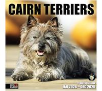RED EMBER Cairn Terriers 2026 Wall Calendar 12 Month | 12" x 24" Open | Thick & Sturdy Paper | Giftable | Calendar 2026