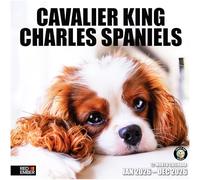 RED EMBER Cavalier King Charles Spaniels 2026 Wall Calendar 12 Month | 12" x 24" Open | Thick & Sturdy Paper | Giftable | Calendar 2026
