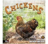 RED EMBER Chickens 2026 Wall Calendar 12 Month | 12" x 24" Open | Thick & Sturdy Paper | Giftable | Calendar 2026