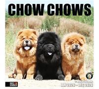 RED EMBER Chow Chows 2026 Wall Calendar 12 Month | 12" x 24" Open | Thick & Sturdy Paper |Giftable | Cute Puppy Dog Calendar 2026