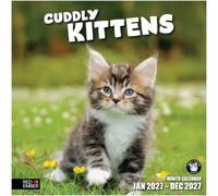 RED EMBER Cuddly Kittens 2027 Wall Calendar 12 Month | 12" x 24" Open | Thick & Sturdy Paper | Funny Kitten Cat Calendar 2027