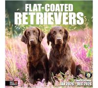 RED EMBER Flat-Coated Retrievers 2026 Wall Calendar 12 Month | 12" x 24" Open | Thick & Sturdy Paper | Giftable | Calendar 2026