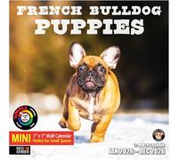 RED EMBER French Bulldog Puppies 2026 Mini Wall Calendar 12 Month | 7" x 14" Open | Thick & Sturdy Paper | Giftable | Calendar 2026