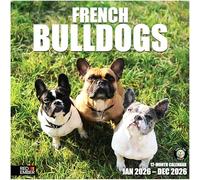 RED EMBER French Bulldogs 2026 Wall Calendar 12 Month | 12" x 24" Open | Thick & Sturdy Paper | Giftable | Calendar 2026