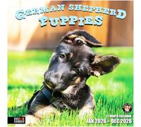 RED EMBER German Shepherd Puppies 2026 Wall Calendar 12 Month | 12" x 24" Open | Thick & Sturdy Paper | Giftable | Calendar 2026