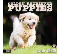 RED EMBER Golden Retriever Puppies 2026 Wall Calendar 12 Month | 12" x 24" Open | Thick & Sturdy Paper | Giftable | Calendar 2026