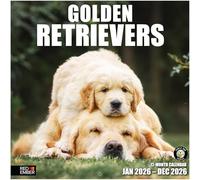 RED EMBER Golden Retrievers 2026 Wall Calendar 12 Month | 12" x 24" Open | Thick & Sturdy Paper | Giftable | Calendar 2026
