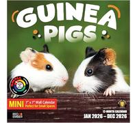 RED EMBER Guinea Pigs 2026 Mini Wall Calendar 12 Month | 7" x 14" Open | Thick & Sturdy Paper | Giftable | Calendar 2026