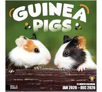 RED EMBER Guinea Pigs 2026 Wall Calendar 12 Month | 12" x 24" Open | Thick & Sturdy Paper | Giftable | Calendar 2026