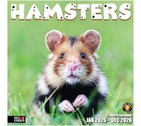 RED EMBER Hamsters 2026 Wall Calendar 12 Month | 12" x 24" Open | Thick & Sturdy Paper | Giftable | Calendar 2026