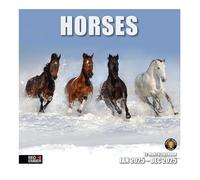 RED EMBER Horses 2025 Wall Calendar 12 Month | 12" x 24" Open | Thick & Sturdy Paper | Giftable | Calendar 2025