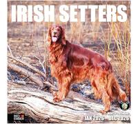 RED EMBER Irish Setters 2026 Wall Calendar 12 Month | 12" x 24" Open | Thick & Sturdy Paper | Giftable | Calendar 2026