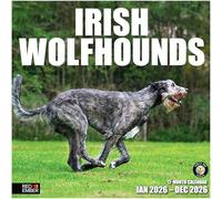 RED EMBER Irish Wolfhounds 2026 Wall Calendar 12 Month | 12" x 24" Open | Thick & Sturdy Paper | Giftable | Calendar 2026