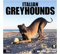 RED EMBER Italian Greyhounds 2026 Wall Calendar 12 Month | 12" x 24" Open | Thick & Sturdy Paper | Giftable | Calendar 2026