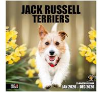RED EMBER Jack Russell Terriers 2026 Wall Calendar 12 Month | 12" x 24" Open | Thick & Sturdy Paper | Giftable | Calendar 2026