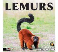 RED EMBER Lemurs 2026 Wall Calendar 12 Month | 12" x 24" Open | Thick & Sturdy Paper | Giftable | Calendar 2026