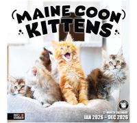 RED EMBER Maine Coon Kittens 2026 Wall Calendar 12 Month | 12" x 24" Open | Thick & Sturdy Paper | Giftable | Calendar 2026