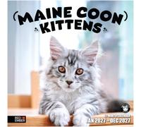 RED EMBER Maine Coon Kittens 2027 Wall Calendar 12 Month | 12" x 24" Open | Thick & Sturdy Paper | Cute Kitten Cat Calendar 2027