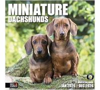 RED EMBER Miniature Dachshunds 2026 Wall Calendar 12 Month | 12" x 24" Open | Thick & Sturdy Paper | Giftable | Calendar 2026