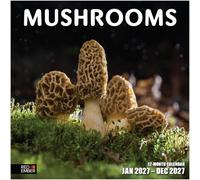 RED EMBER Mushrooms 2027 Wall Calendar 12 Month | 12" x 24" Open | Thick & Sturdy Paper | Nature Calendar 2027