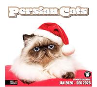 RED EMBER Persian Cats 2026 Wall Calendar 12 Month | 12" x 24" Open | Thick & Sturdy Paper | Giftable | Calendar 2026