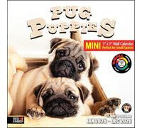 RED EMBER Pug Puppies 2026 Mini Wall Calendar 12 Month | 7" x 14" Open | Thick & Sturdy Paper | Giftable | Calendar 2026