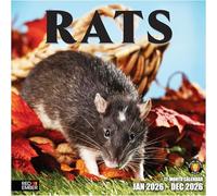RED EMBER Rats 2026 Wall Calendar 12 Month | 12" x 24" Open | Thick & Sturdy Paper | Giftable | Calendar 2026