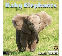 RED EMBER Select - Baby Elephants 2026 Wall Calendar 12 Month | 12" x 24" Open | Thick & Sturdy Paper | Giftable | Calendar 2026