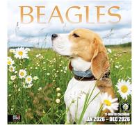 RED EMBER Select - Beagles 2026 Wall Calendar 12 Month | 12" x 24" Open | Thick & Sturdy Paper | Giftable | Calendar 2026