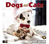 RED EMBER Select - Dogs & Cats 2026 Wall Calendar 12 Month | 12" x 24" Open | Thick & Sturdy Paper | Giftable | Calendar 2026