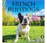 RED EMBER Select - French Bulldogs 2026 Wall Calendar 12 Month | 12" x 24" Open | Thick & Sturdy Paper | Giftable | Calendar 2026