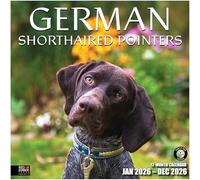 RED EMBER Select - German Shorthaired Pointers 2026 Wall Calendar 12 Month | 12" x 24" Open | Thick & Sturdy Paper | Giftable | Calendar 2026