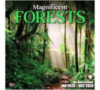 RED EMBER Select - Magnificent Forests 2026 Wall Calendar 12 Month | 12" x 24" Open | Thick & Sturdy Paper | Giftable | Calendar 2026