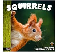 RED EMBER Select - Squirrels 2026 Wall Calendar 12 Month | 12" x 24" Open | Thick & Sturdy Paper | Giftable | Calendar 2026