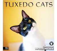 RED EMBER Select - Tuxedo Cats 2026 Wall Calendar 12 Month | 12" x 24" Open | Thick & Sturdy Paper | Giftable | Calendar 2026