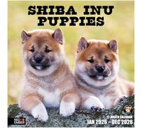 RED EMBER Shiba Inu Puppies 2026 Wall Calendar 12 Month | 12" x 24" Open | Thick & Sturdy Paper | Giftable | Calendar 2026