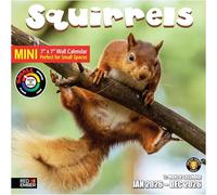 RED EMBER Squirrels 2026 Mini Wall Calendar 12 Month | 7" x 14" Open | Thick & Sturdy Paper | Giftable | Calendar 2026