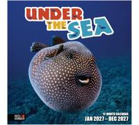 RED EMBER Under the Sea 2027 Wall Calendar 12 Month | 12" x 24" Open | Thick & Sturdy Paper | Ocean Nature Calendar 2027