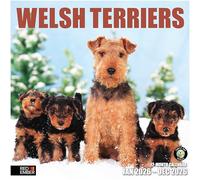 RED EMBER Welsh Terriers 2026 Wall Calendar 12 Month | 12" x 24" Open | Thick & Sturdy Paper | Giftable | Cute Puppy Dog Calendar 2026