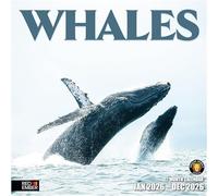 RED EMBER Whales 2026 Wall Calendar 12 Month | 12" x 24" Open | Thick & Sturdy Paper | Giftable | Calendar 2026
