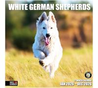 RED EMBER White German Shepherds 2026 Wall Calendar 12 Month | 12" x 24" Open | Thick & Sturdy Paper | Giftable | Calendar 2026