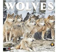 RED EMBER Wolves 2026 Wall Calendar 12 Month | 12" x 24" Open | Thick & Sturdy Paper | Giftable | Calendar 2026