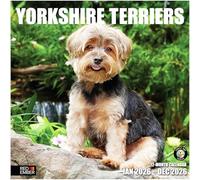 RED EMBER Yorkies Yorkshire Terriers 2026 Wall Calendar 12 Month | 12" x 24" Open | Thick & Sturdy Paper | Giftable | Calendar 2026