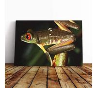 Red Eyed Leaf Frog Canvas Print | Gallery Wrapped 30mm Frame Wall Art | 24x16 inches | Ready to Hang | Modern Animals Picture | Living Room Bedroom Lounge Office