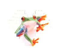 Red Eyed Monkey Tree Frog Printed Jigsaw Puzzle 10.8x12.8 CM, Heart-Shaped Puzzle Challenging Game for Adults, Fun Decorative Wall Decor