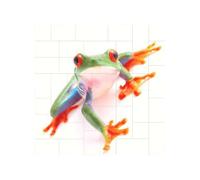 Red Eyed Monkey Tree Frog Printed Square Jigsaw Puzzle 12.8x12.8 CM, Puzzle Challenging Game for Adults Gifts, Family Fun Decorative Wall Decor