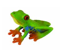 Red-eyed Tree Frog