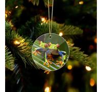 Red Eyed Tree Frog Acrylic Christmas Ornaments - Circular Christmas Tree Decorations Ornament, Winter Holiday Keepsake Pendant for Fireplace, Mantel, Wreath Holiday Party Decor